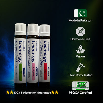 LEAN-ERGY RTD 6-PACK MIXED